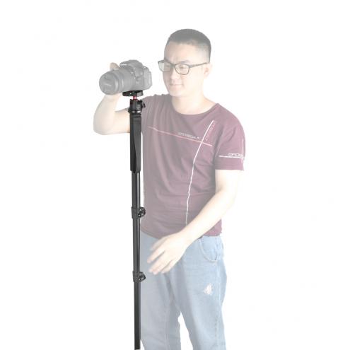 Monopod with Gimbal Ballhead