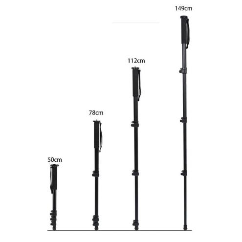 Monopod with Gimbal Ballhead